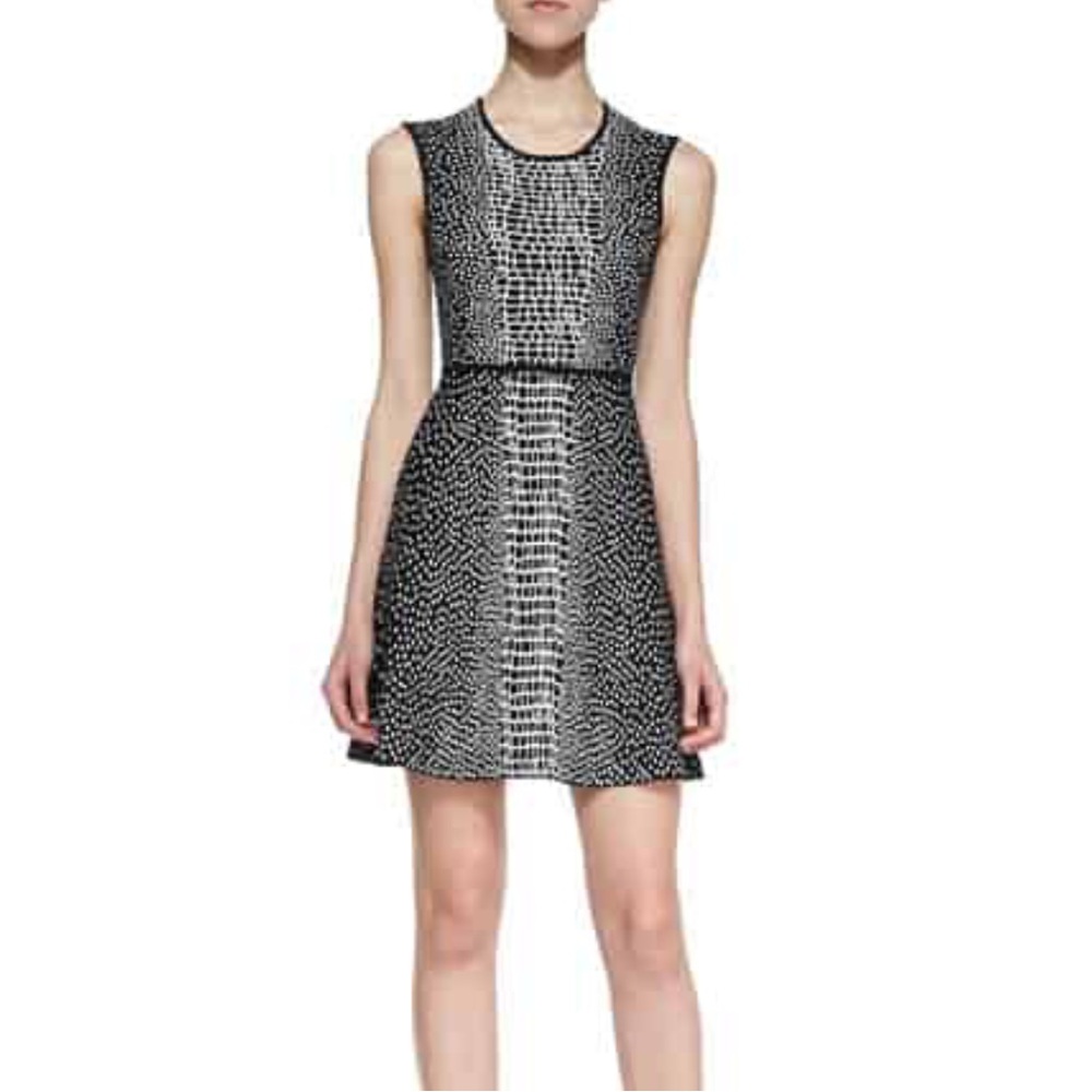 BCBGMAXAZRIA Black and White Dress